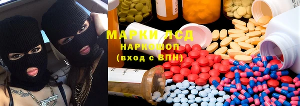 стафф Аркадак