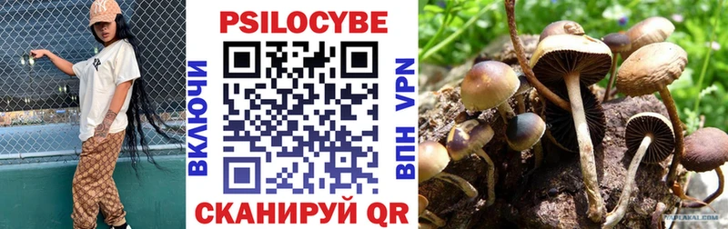 Галлюциногенные грибы мицелий Ельня