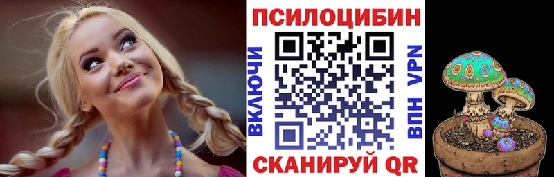 кракен   Ельня  Псилоцибиновые грибы Psilocybine cubensis 